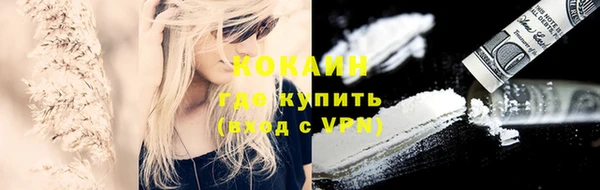 PSILOCYBIN Балахна