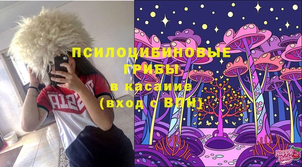 герыч Арсеньев