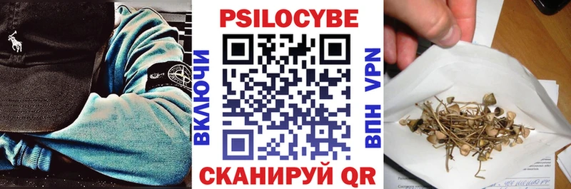 blacksprut как зайти  наркошоп  Волгореченск  Псилоцибиновые грибы Psilocybine cubensis 